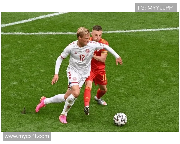 亚美尼亚与芬兰足球赛精彩直播全程回顾与分析