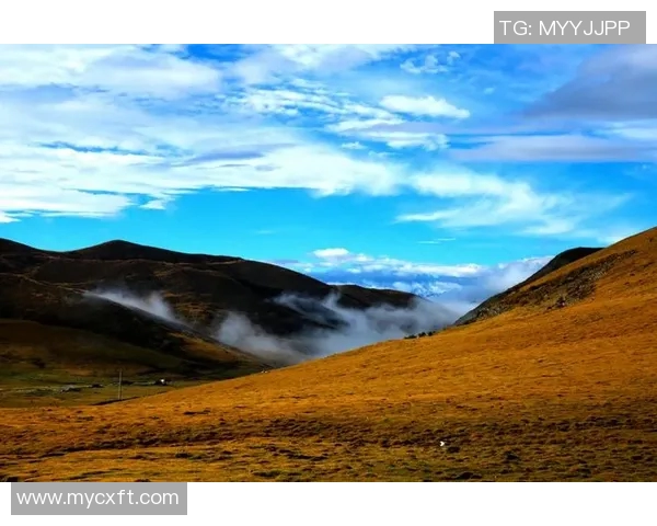 何思雨的成长之路与梦想追寻：从平凡到卓越的心灵旅程
