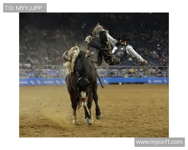 公开赛杯休斯敦对决精彩纷呈球迷期待激烈比赛的盛宴